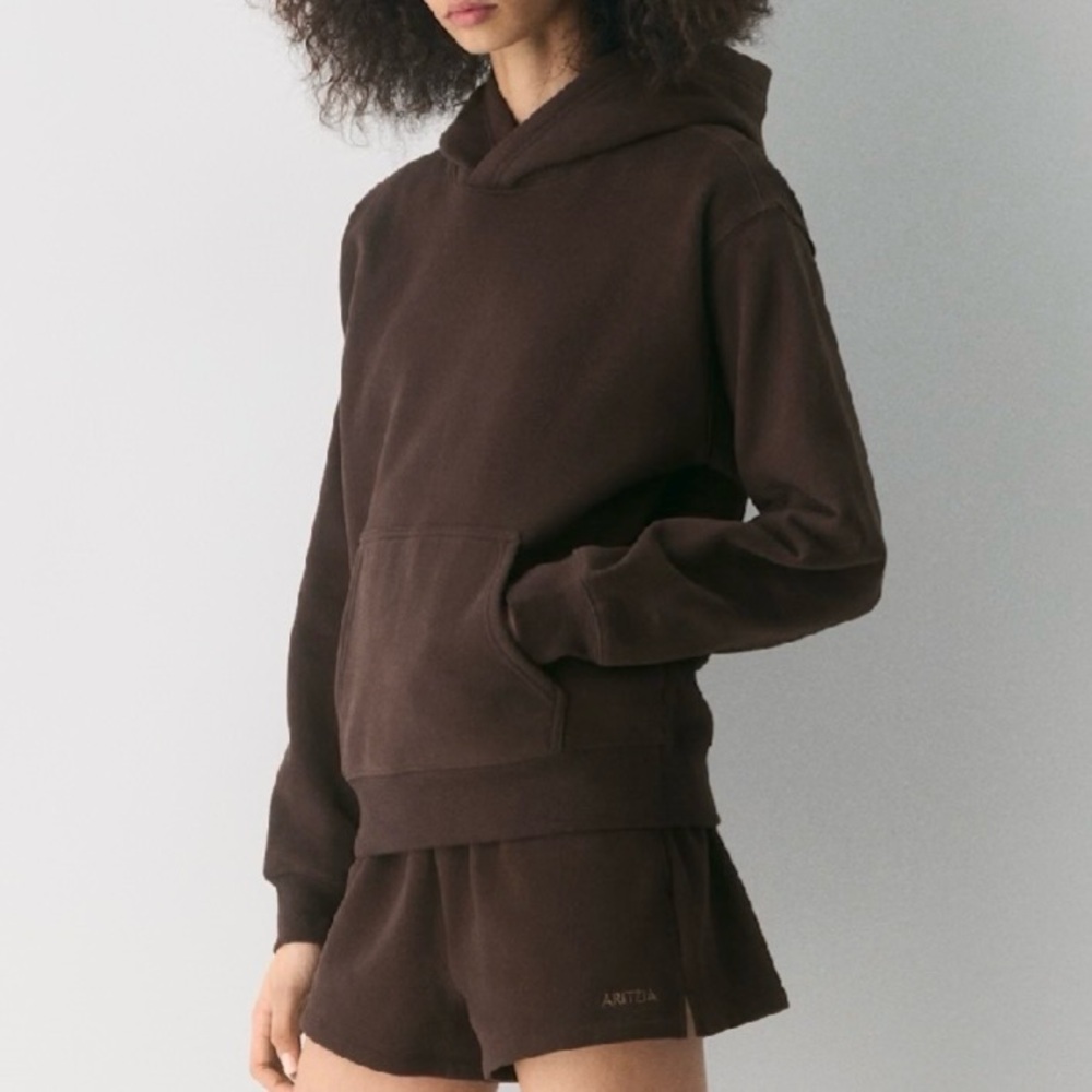 Aritzia TNA Cashwool Hoodie